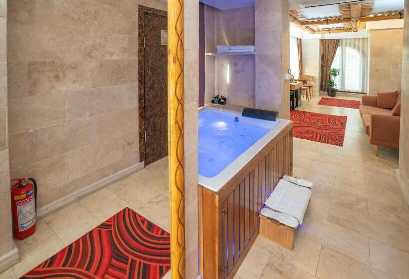 キングサイズベッドのスタンダードルーム, Pasha Palace