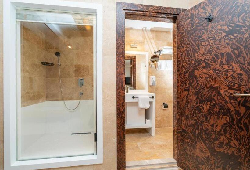 スタンダードルーム, Pasha Palace