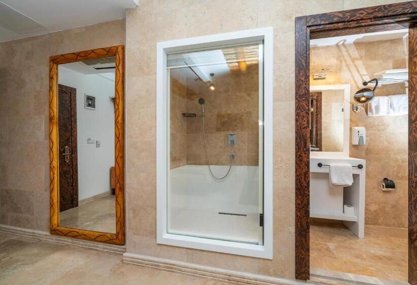 スタンダードルーム, Pasha Palace