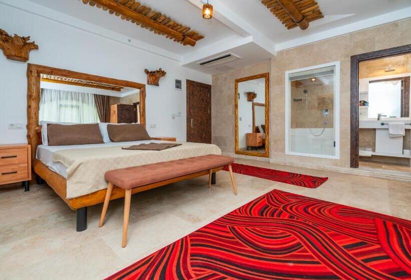 スタンダードルーム, Pasha Palace