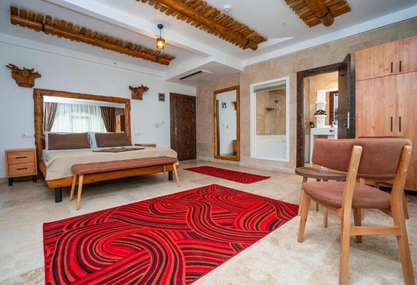 スタンダードルーム, Pasha Palace