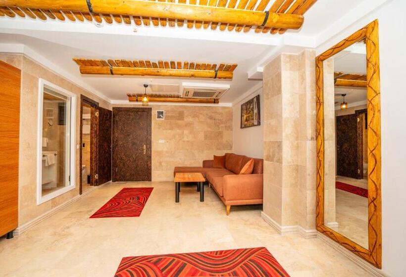 デラックスルーム, Pasha Palace