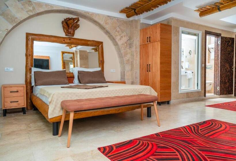 デラックスルーム, Pasha Palace