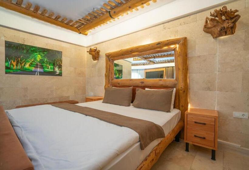 キングサイズベッドのスタンダードルーム, Pasha Palace