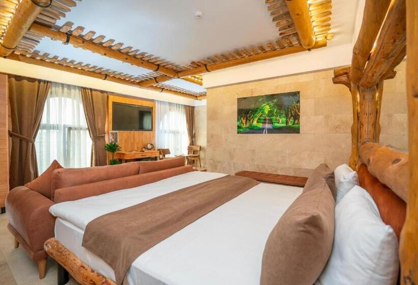 キングサイズベッドのスタンダードルーム, Pasha Palace