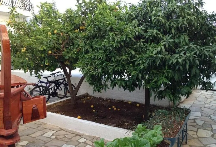استودیوی استاندارد, Remezzo Apartments