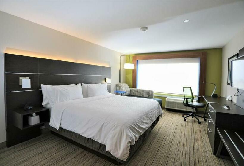 キングサイズベッドのスタンダードルーム, Holiday Inn Express & Suites   Forney, An Ihg