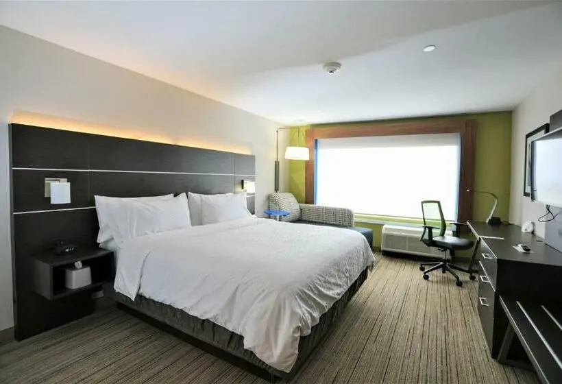 キングサイズベッドのスタンダードルーム, Holiday Inn Express & Suites   Forney, An Ihg