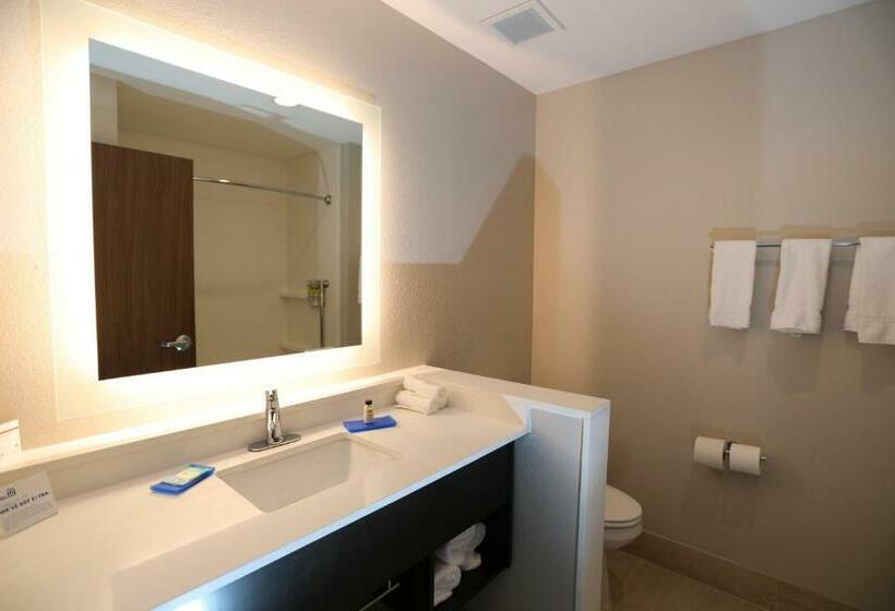 キングサイズベッドのスタンダードルーム, Holiday Inn Express & Suites   Forney, An Ihg