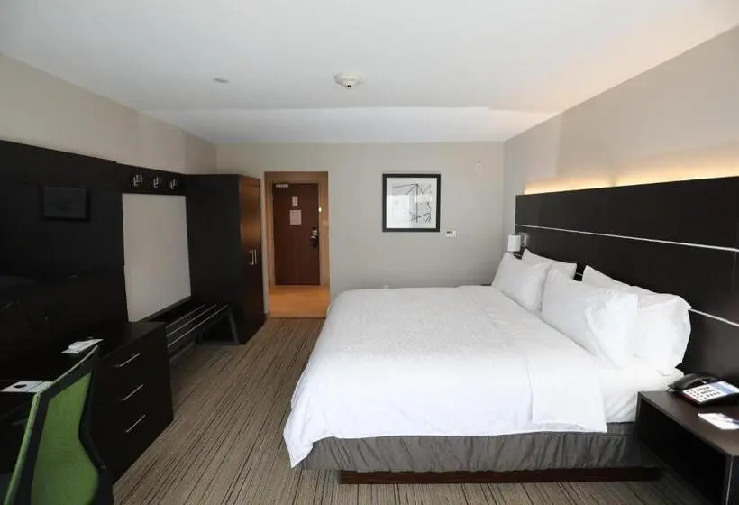 身障者適用キングサイズベッドルーム, Holiday Inn Express & Suites   Forney, An Ihg