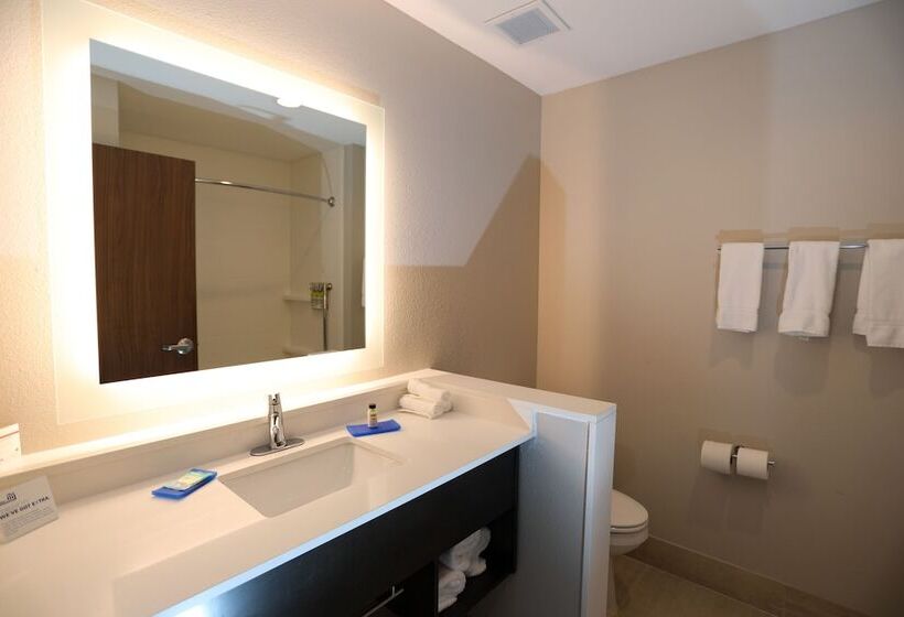 スイート, Holiday Inn Express & Suites   Forney, An Ihg