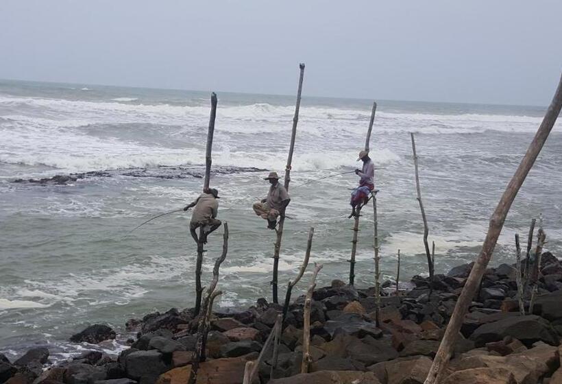 Номер Стандарт, Blue Beach Paradise
