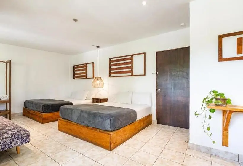 سوییت, Cinco Hotel B&b
