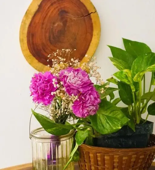 سوییت, Cinco Hotel B&b