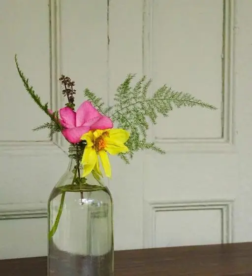 سوییت, Cinco Hotel B&b
