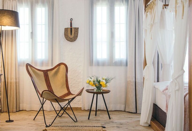 Superior Room, Alachi