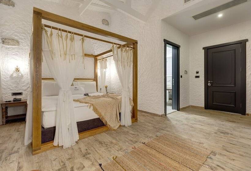 Superior Room, Alachi