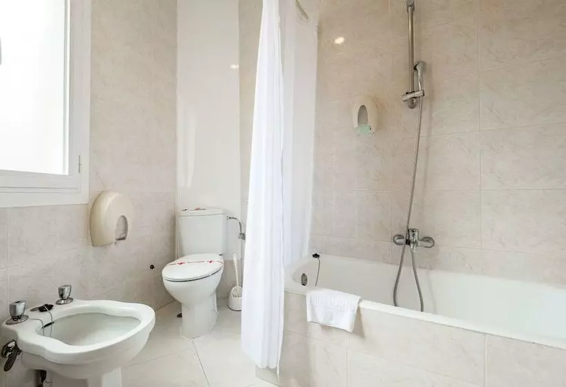 Standard Single Room, Amic Colon