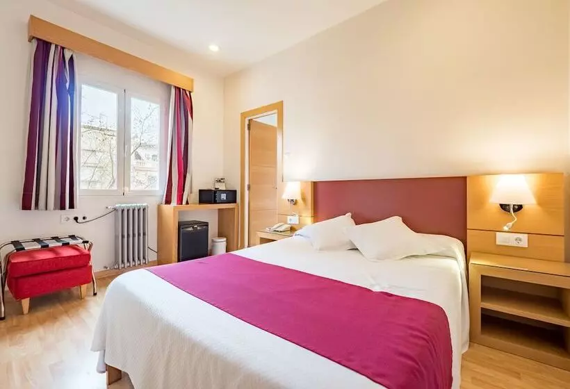 Standard Single Room, Amic Colon