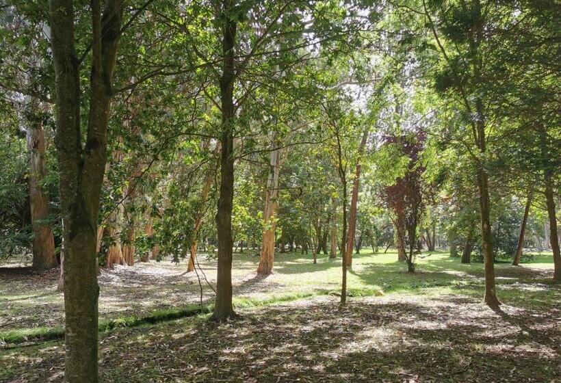 اتاق استاندارد, Arco Navia