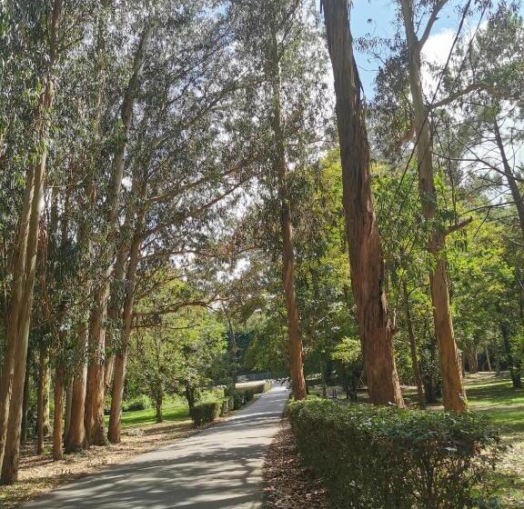 اتاق استاندارد, Arco Navia