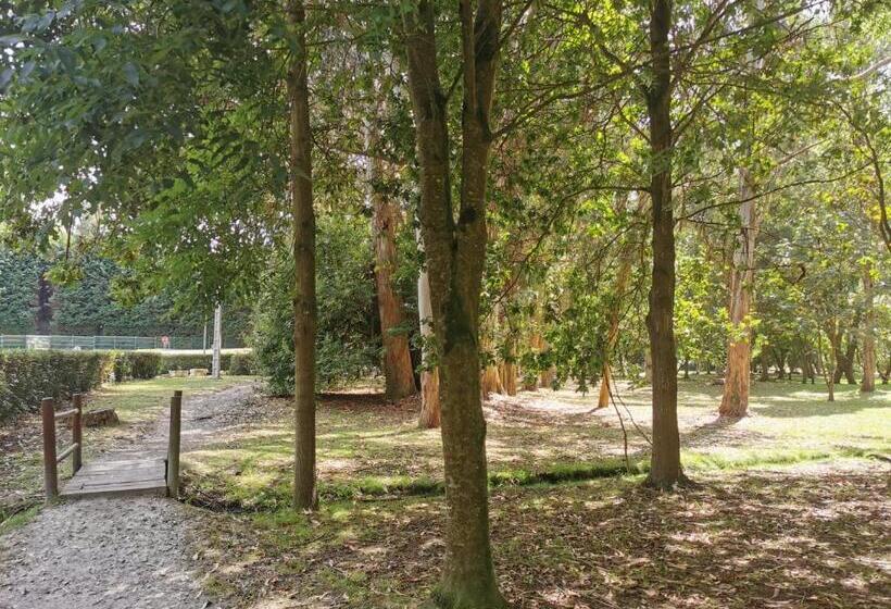 اتاق استاندارد, Arco Navia