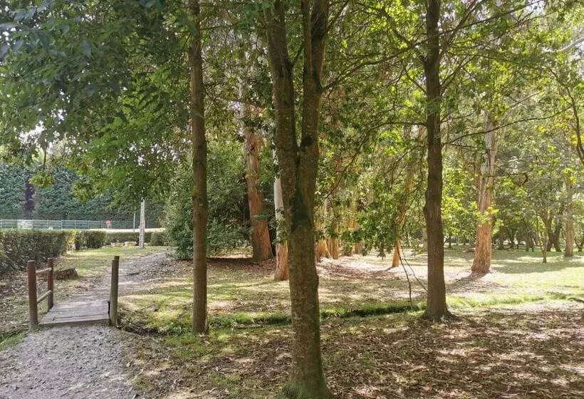 اتاق استاندارد, Arco Navia