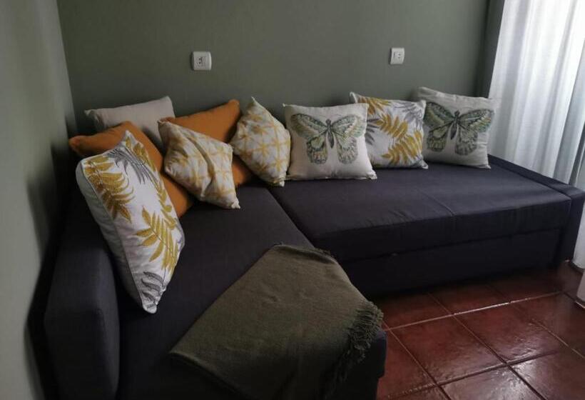 آپارتمان 1 خوابه, Arco Navia