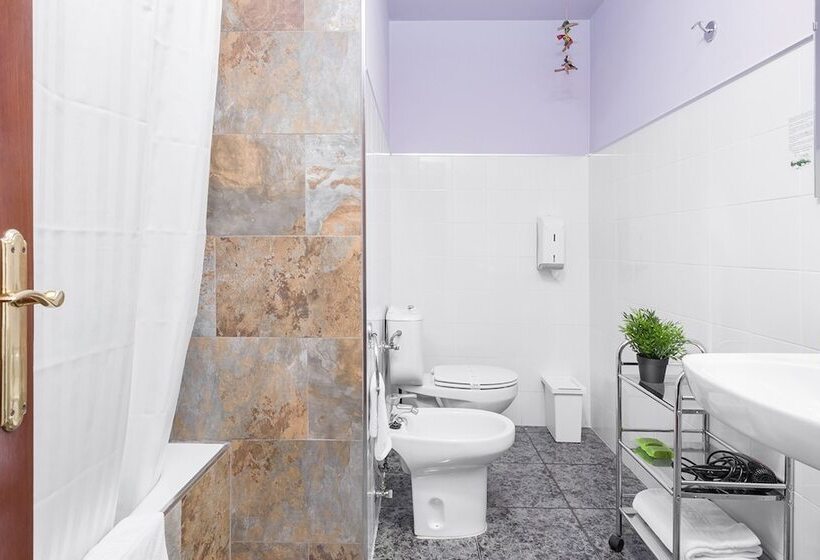 수피리어 룸, San Miguel