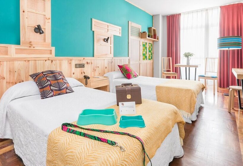 수피리어 룸, San Miguel