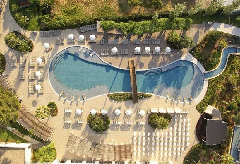 غرفة قياسية, Bg Tonga Tower