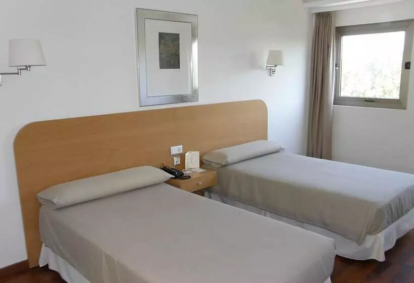 スタンダードルーム, Universidad