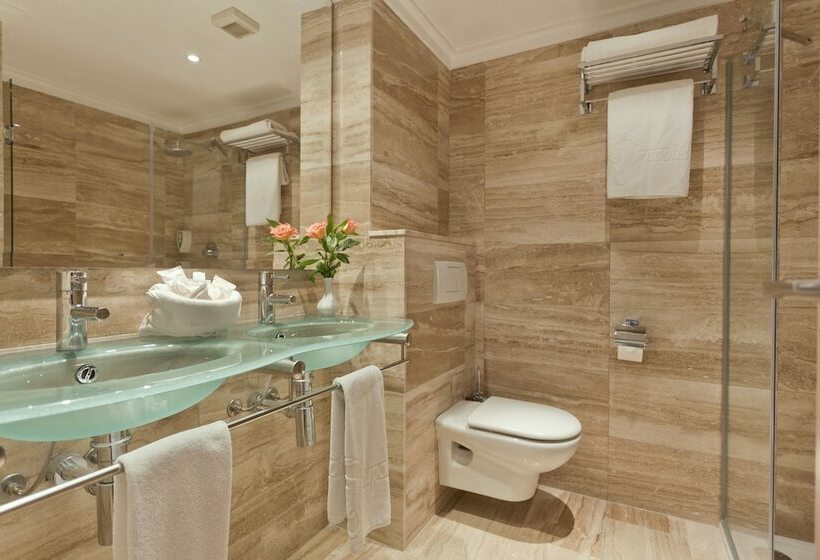 اتاق استاندارد, Grupotel Los Príncipes & Spa