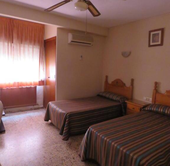 Номер Стандарт, Alain