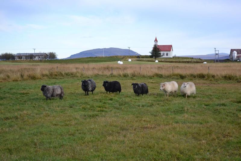 Четырехместный Номер Стандарт, Aqua Hotel Aquamarina & Spa