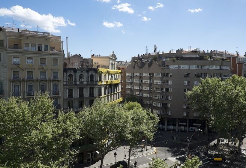 اتاق استاندارد با تراس, Caledonian