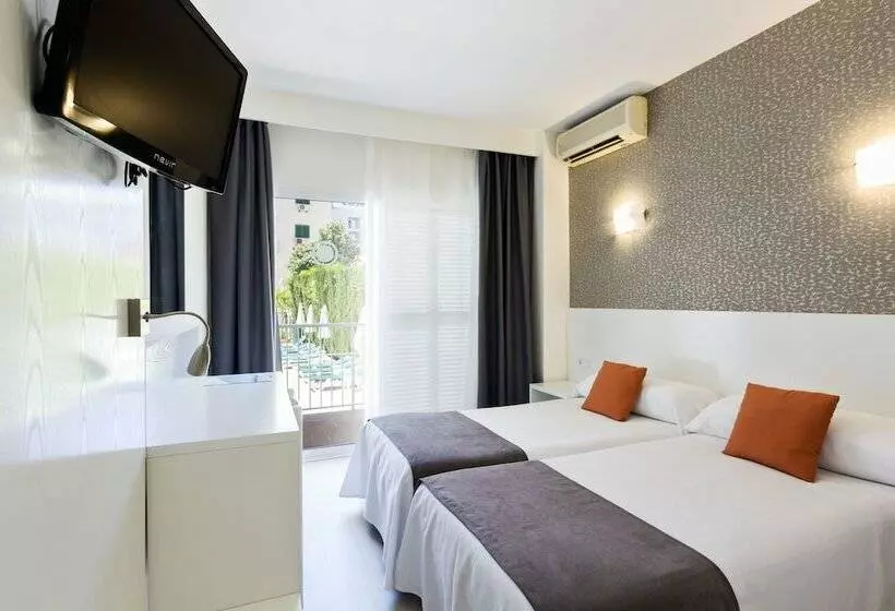 Economy-huone, Don Miguel Playa