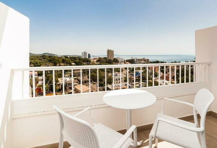 Номер Стандарт, Globales Mimosa