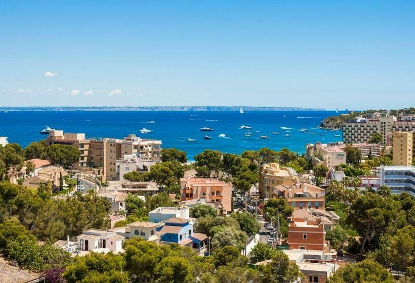 اتاق استاندارد, Globales Mimosa