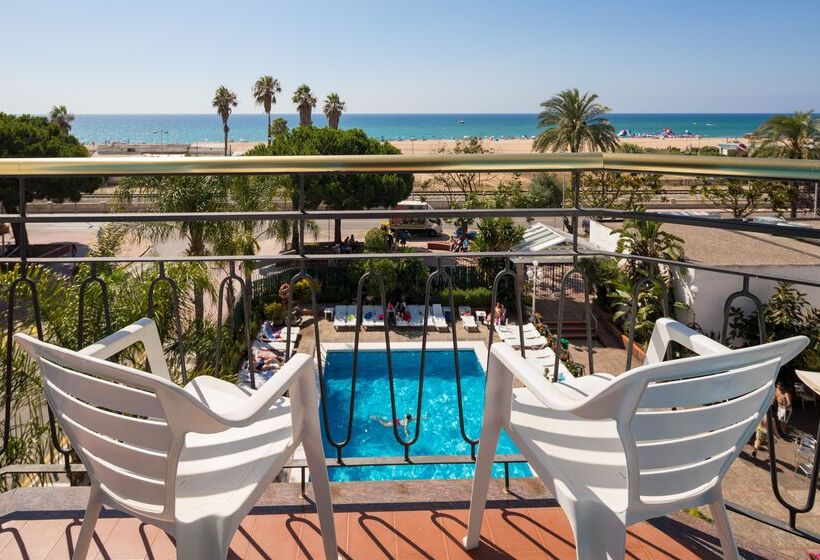 标准间, htop Planamar