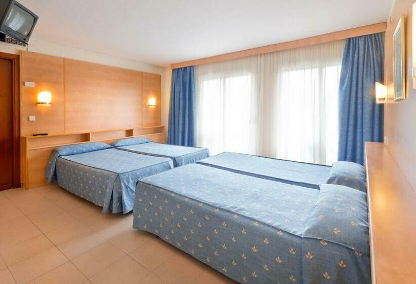 패밀리 룸, htop Summer Sun