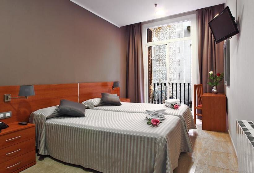 اتاق استاندارد یک نفره, Ingles