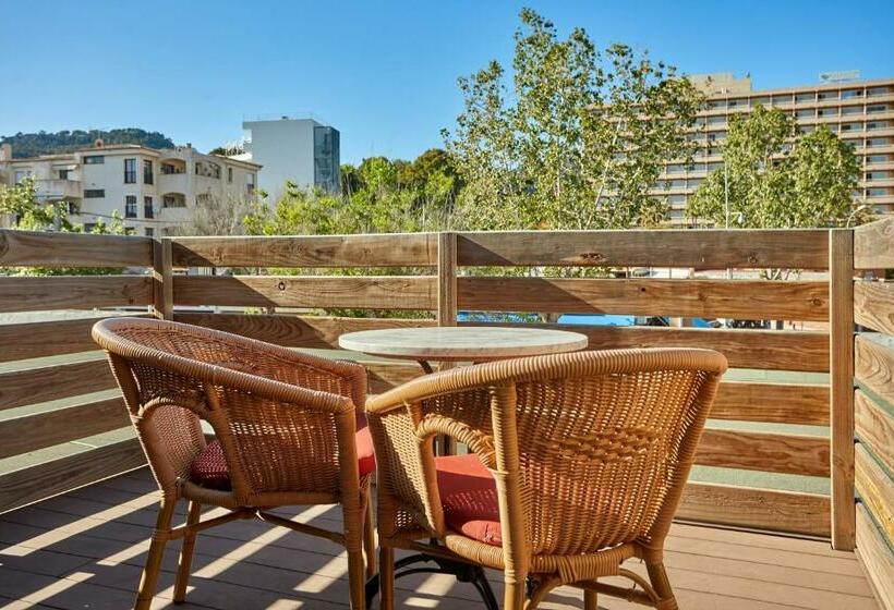 اتاق استاندارد یک نفره, Secrets Mallorca Villamil Resort & Spa   Adults Only