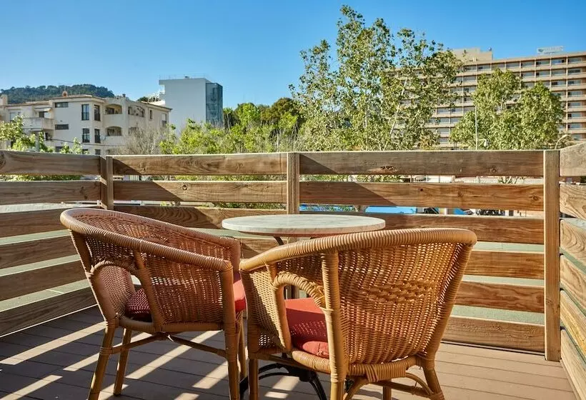اتاق استاندارد یک نفره, Secrets Mallorca Villamil Resort & Spa   Adults Only