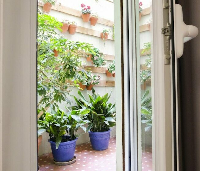 Номер Стандарт, Subur