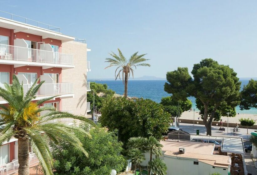 اتاق استاندارد, Palia Tropico Playa