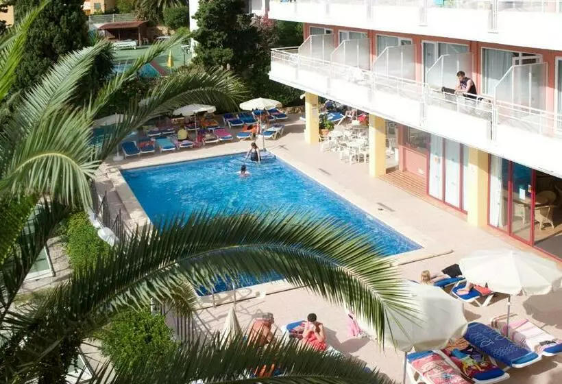 اتاق خانوادگی, Palia Tropico Playa