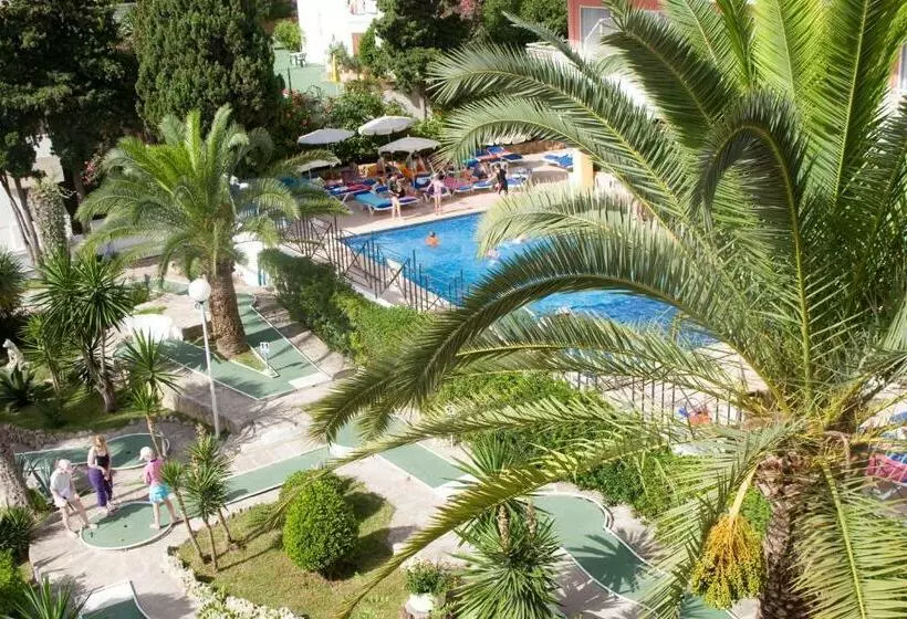 اتاق خانوادگی, Palia Tropico Playa