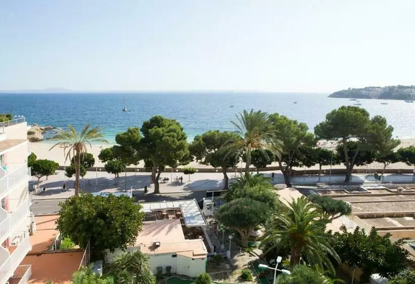 اتاق استاندارد با چشم‌انداز دریا, Palia Tropico Playa