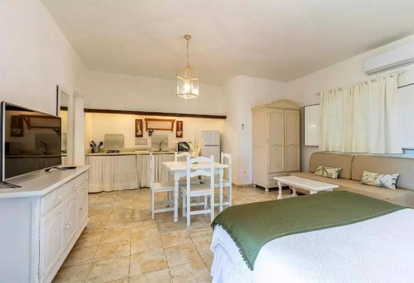آپارتمان 1 خوابه با تراس, Apart Cortijo Las Piñas